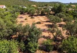 Loulé: Large plot for sale in Urban area