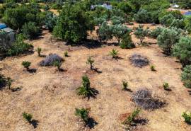 Loulé: Large plot for sale in Urban area
