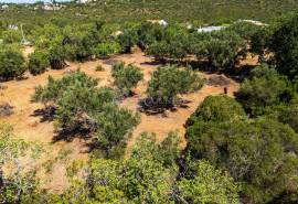 Loulé: Large plot for sale in Urban area