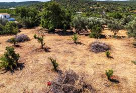 Loulé: Large plot for sale in Urban area