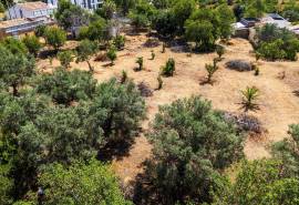 Loulé: Large plot for sale in Urban area