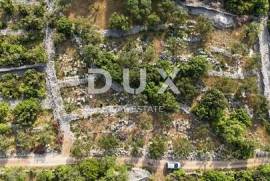 ISLAND OF KRK, PUNAT - Cascading olive grove with access road