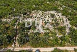 ISLAND OF KRK, PUNAT - Young olive grove with an open view of the sea and Košljun