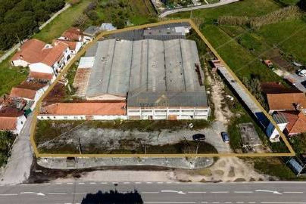 Proprietà con 5.335 m² per l'edilizia abitativa, il commercio e l'industria – Investimento a Olheiros, Alcobaça