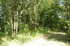 For Sale Period Country Property with Pool near Le Dorat