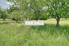 Country House with Outbuilding, Ideal Holiday Home
