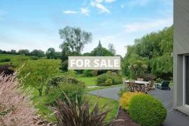 Property For Sale