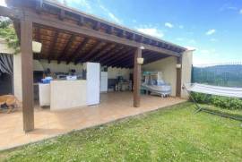 Detached Villa With Swimming Pool