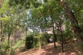 Detached Villa, Swimming Pool, Garage, Parkland Gardens
