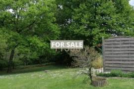 Single Storey Villa With Garden