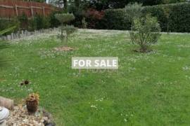Single Storey Villa With Garden