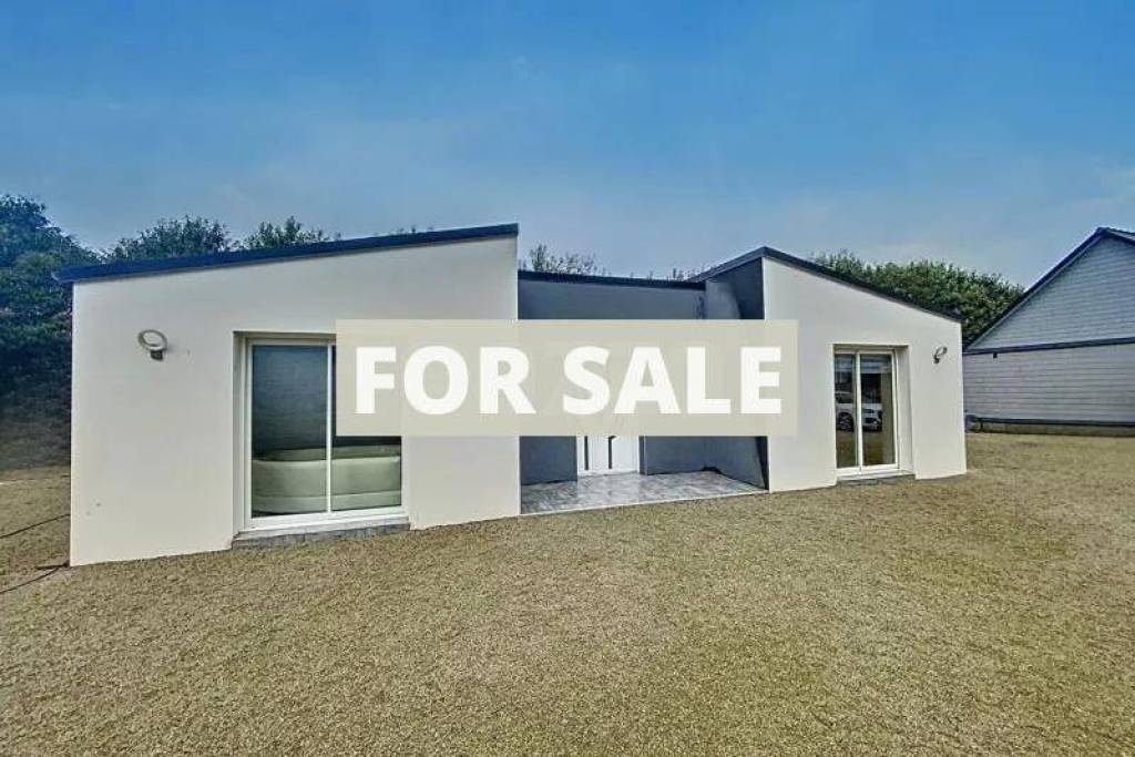 Contemporary Detached House