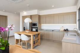 Na.Umi Seaside Residences - Building 3 (The Sunset Model - 2 Bedroom + Flex): Boutique Ocean-View Condominiums Overlooking Coco Bay