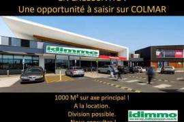 Goodwill on 1000 m2 divisible Colmar