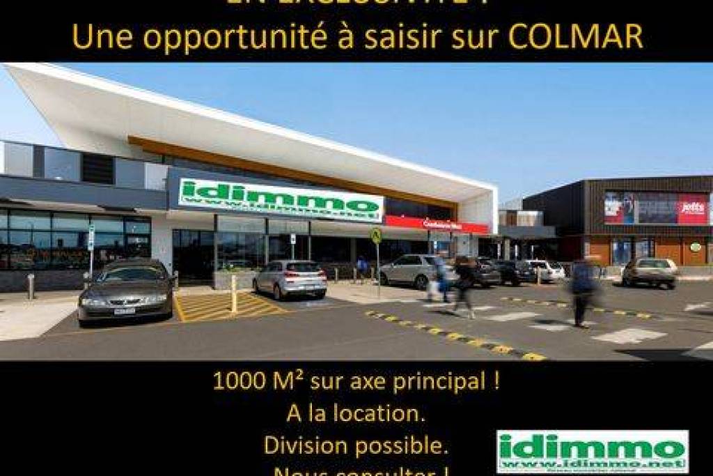 Goodwill on 1000 m2 divisible Colmar