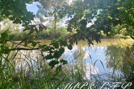 Dpt Gironde (33), à vendre MARGUERON propriété de 467 m² - Parc arboré de 70 000 m²