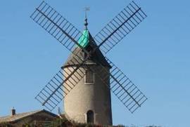 A vendre vignes AOC Moulin à Vent