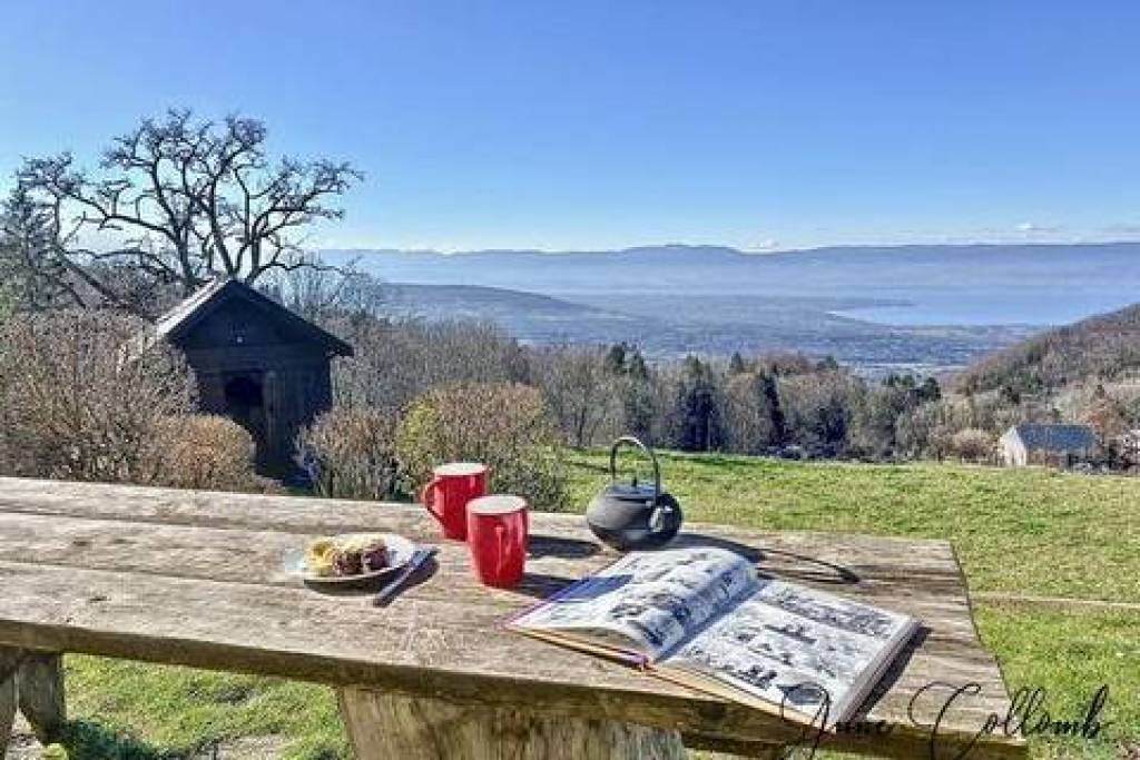 Dpt Haute Savoie (74), Maison-Gîte sur les hauteurs de Thonon avec vue exceptionnelle sur le Lac Léman et Jura