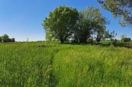Terrain à bâtir