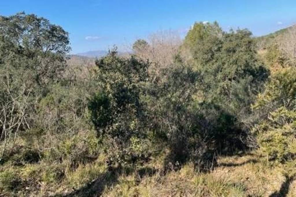 Var (83), à vendre GASSIN Terrain Agricole Zone AOC environ 17 000 m² (1 ha 7a) (31 euros/m2)