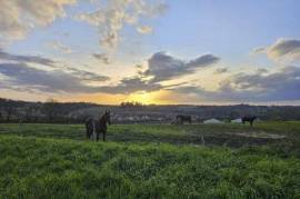 Grand terrain constructible viabilisé
