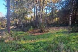 TERRAIN ET FORET