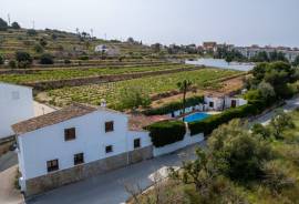 4 Bedrooms - Finca - For Sale