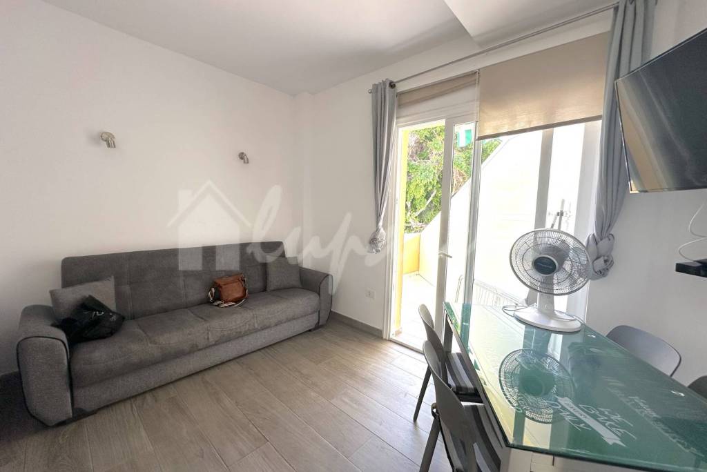 1 Bedroom Apartment in Mareverde Complex For Sale In Torviscas LP13211