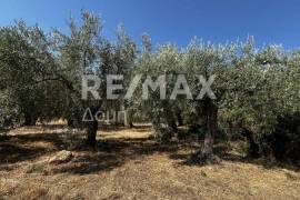 Agricultural 1145 sq.m for sale