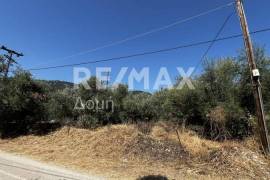 Agricultural 1145 sq.m for sale