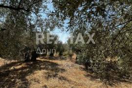 Agricultural 1145 sq.m for sale