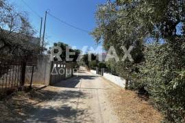 Agricultural 1145 sq.m for sale