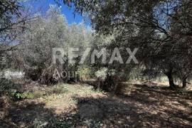 Agricultural 1145 sq.m for sale