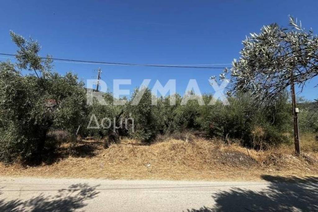 Agricultural 1145 sq.m for sale