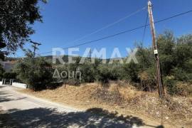 Agricultural 1145 sq.m for sale