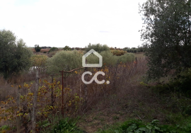 Farmhouse Beja