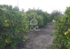 Farmhouse Beja