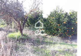 Farmhouse Beja