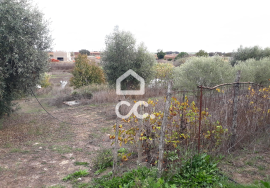 Farmhouse Beja