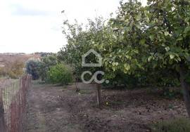 Farmhouse Beja