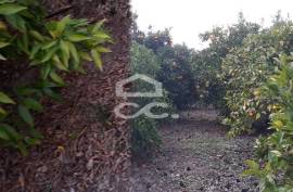 Farmhouse Beja