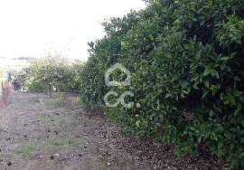 Farmhouse Beja
