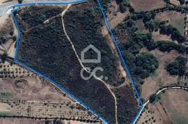 Land with a unique investment opportunity for a project of public interest near Pedras Salgadas!