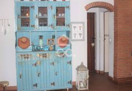Restaurants / Bars / Shops  Moura Amareleja/Barragem do Alqueva
