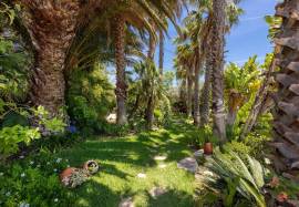 Algarve - Santa Bárbara de Nexe - Villa with ocean views, terraces and gardens