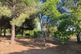 Exclusive villa in Simón Verde – Space, privacy and privileged natural environment