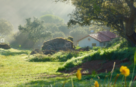 Private 8.5-Hectare Alentejo Retreat – Ideal for Sustainable Living, Tourism, or Community near Cercal