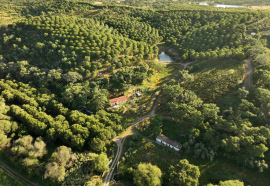 Private 8.5-Hectare Alentejo Retreat – Ideal for Sustainable Living, Tourism, or Community near Cercal