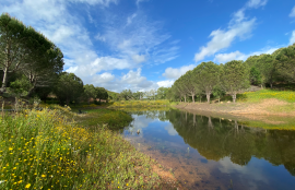 Private 8.5-Hectare Alentejo Retreat – Ideal for Sustainable Living, Tourism, or Community near Cercal