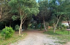 Private 8.5-Hectare Alentejo Retreat – Ideal for Sustainable Living, Tourism, or Community near Cercal